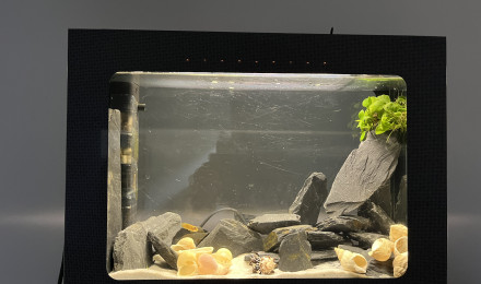 aquarium En rodage pour des crevettes ou ecrevisse