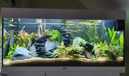 aquarium JUWEL RIO180