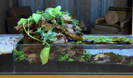 aquarium Chute 2022