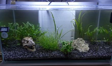 aquarium Aqua 60l maison