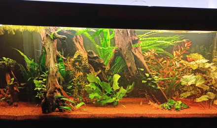 aquarium 400l