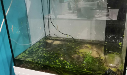 aquarium Black River
