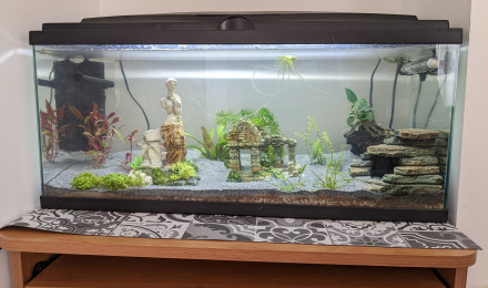 aquarium Salon