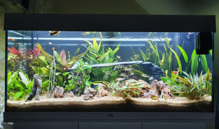 aquarium JUWEL RIO180
