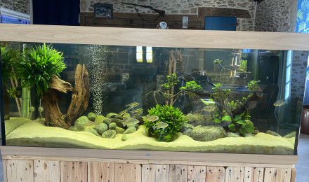 aquarium Bac cichlidés americains 450 L