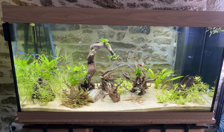 aquarium Bac communautaire 350 L