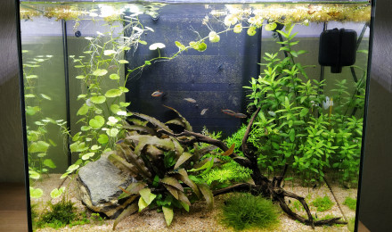 aquarium zolux idro 50