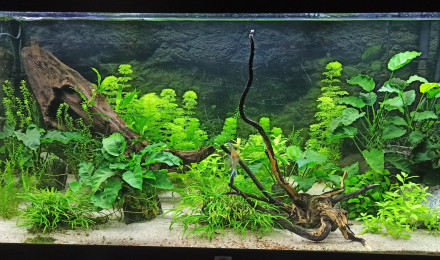 aquarium Bac 360L