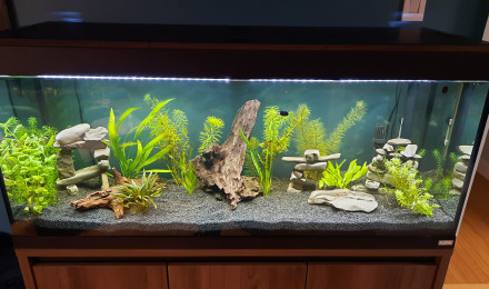 aquarium Première