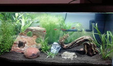 aquarium Ciano60
