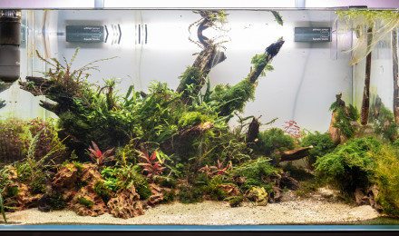 aquarium 250 Litre