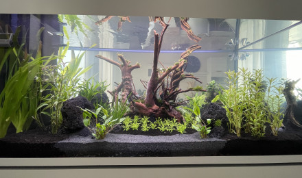 aquarium Eheim Incpiria 430