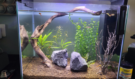 aquarium HOME45