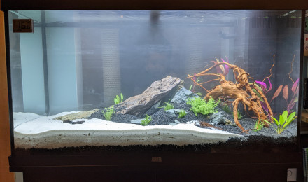 aquarium Rio125 - Amérique du Sud