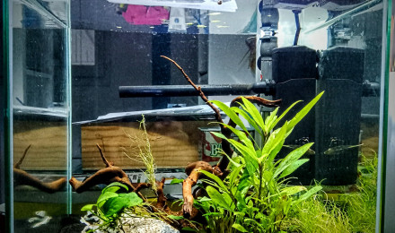 aquarium Bac 30L