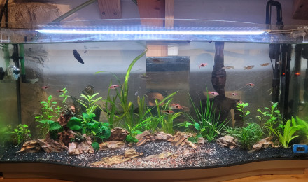 aquarium 130 litres