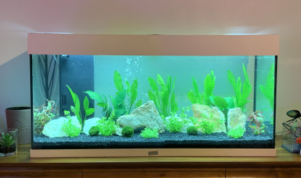 aquarium Aquarium 200 litres