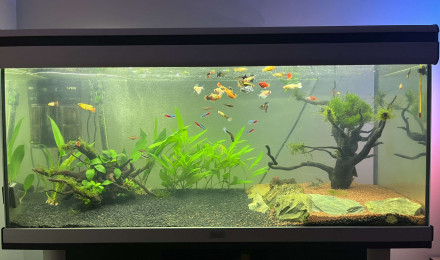 aquarium AquAL 200