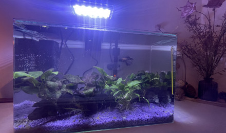 aquarium AquAL 25