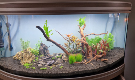 aquarium Aqualantis fusion Horizon 120