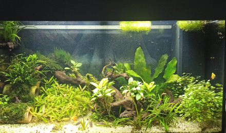 aquarium Unique