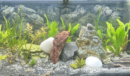 aquarium BAC 180L