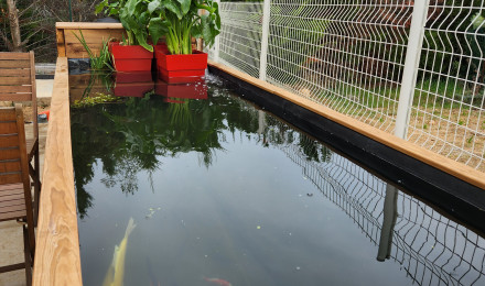 aquarium Bassin