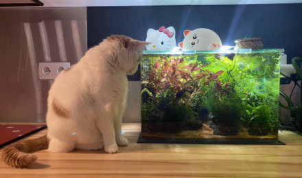 aquarium Mon 38 L