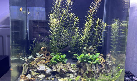aquarium Nano 20L