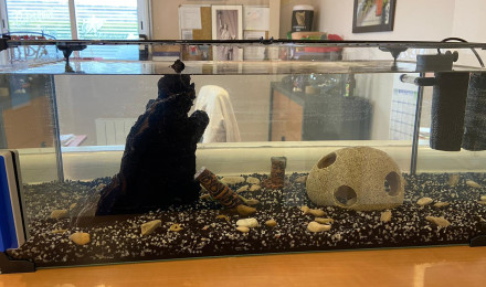 aquarium Aquarium FB