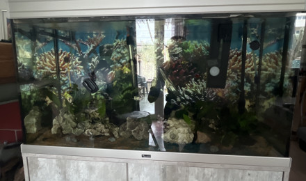 aquarium Aqua 200l