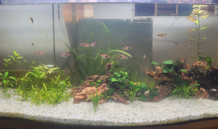 aquarium 130 litres