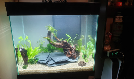 aquarium 108l