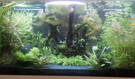 aquarium Eheim Incpiria 430