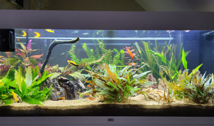 aquarium JUWEL RIO180
