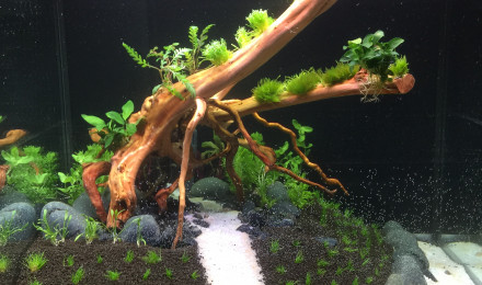 aquarium El Rio Chocho