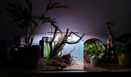 aquarium Terraqua