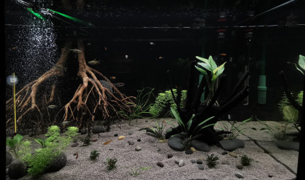 aquarium Eheim Proxima