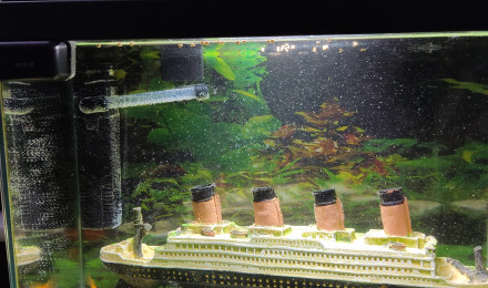 aquarium Aquarium salon