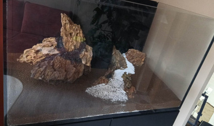aquarium Aquascaping montagne