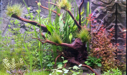 aquarium Lido 120 Led
