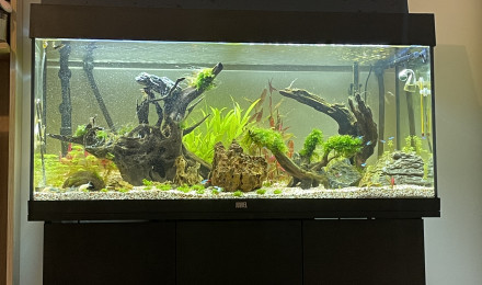 aquarium Max 180l