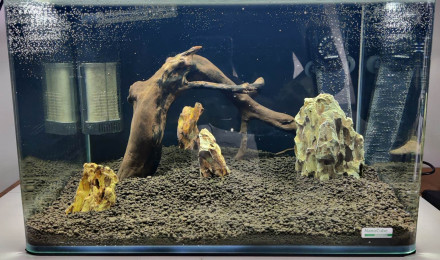 aquarium Nano asiatique 35 L