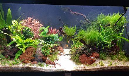 aquarium Bureau 200 litres