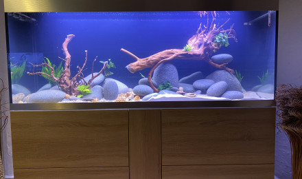 aquarium Aqua83