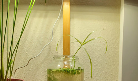 aquarium Pico aquarium