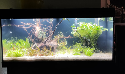 aquarium 180l