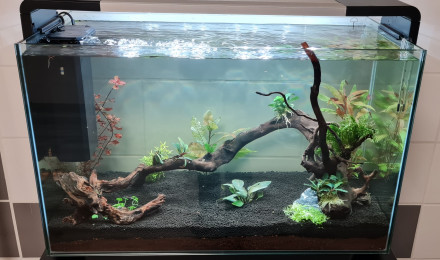 aquarium Home 110