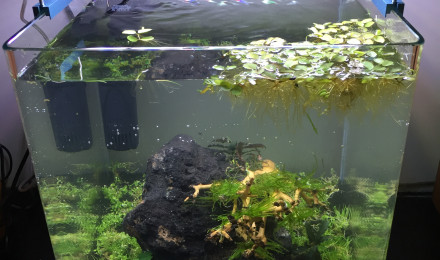 aquarium Nano 30L