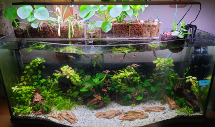 aquarium 130 litres